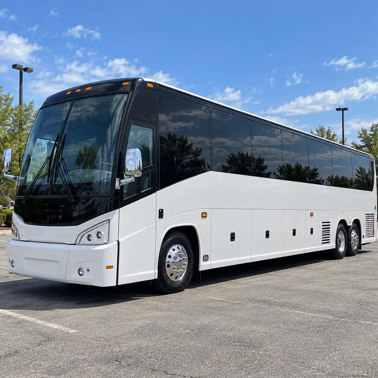 caldwell zoo field trips in tyler are a breeze with the right transportation